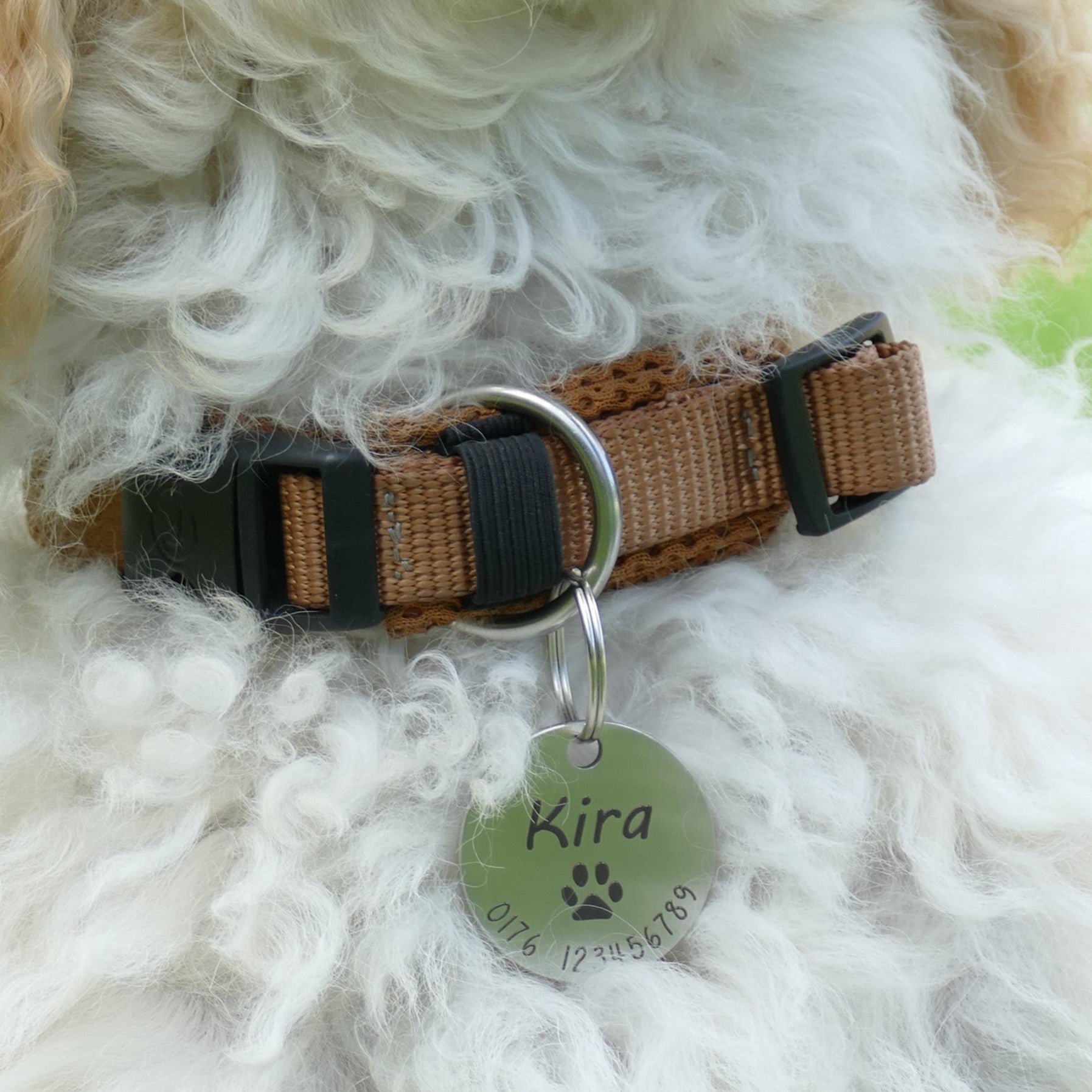 Hundemarke mit Gravur 23mm / 30mm - Wiens3d